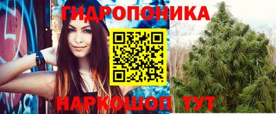 трава Краснокаменск