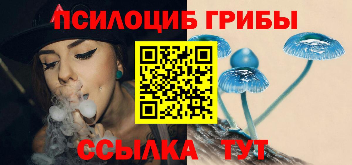 Псилоцибиновые грибы ЛСД  Вход с VPN  Псилоцибиновые грибы прущие грибы  Калач-на-Дону 